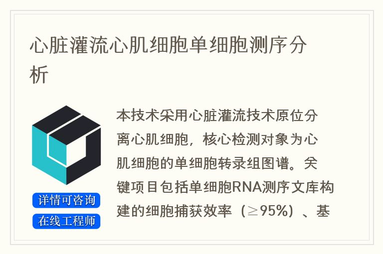 心脏灌流心肌细胞单细胞测序分析