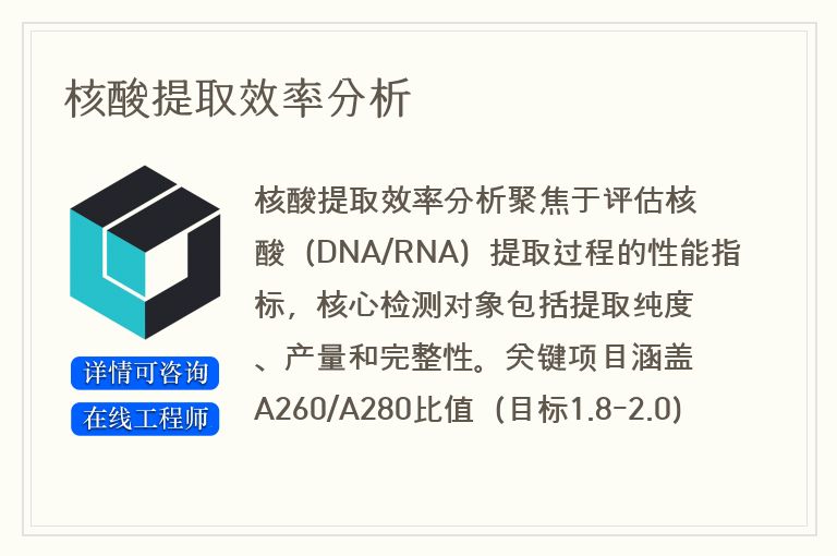 核酸提取效率分析